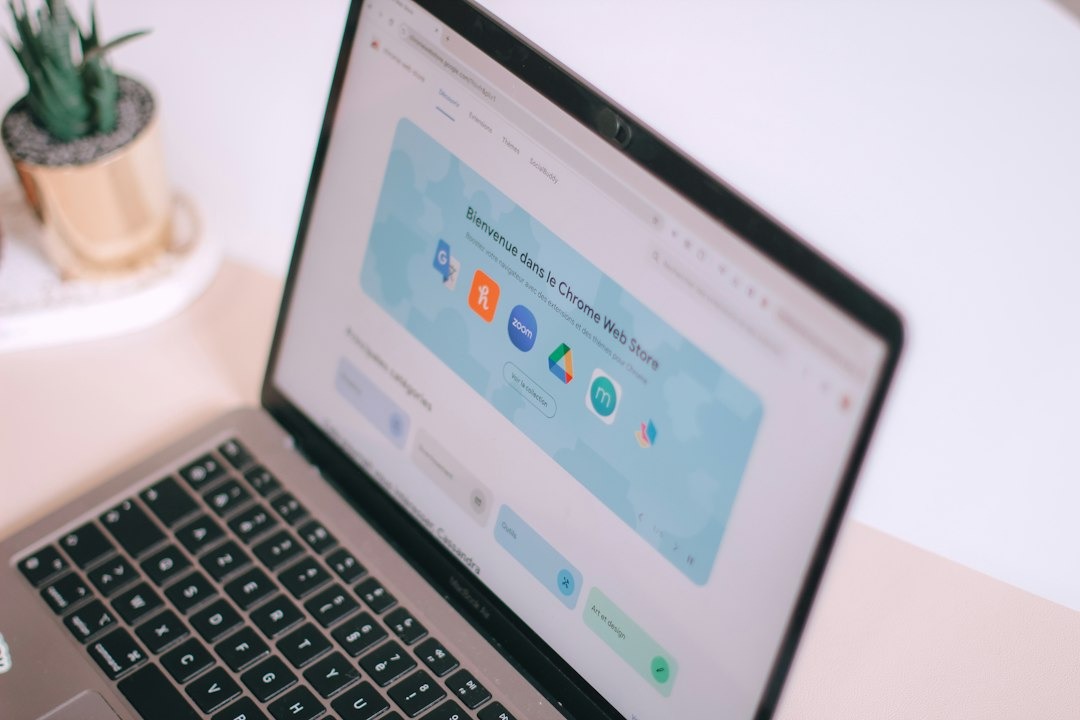 Open laptop displaying the Chrome Web Store with a succulent.